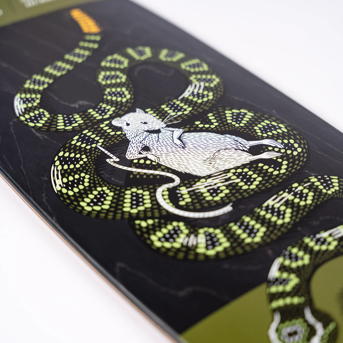 Fractal Rattler - Image 4